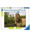 Puzzle 1000el Król lew 151608 RAVENSBURGER - nr 1