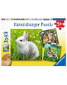 ravensburger Puzzle 3x49el Delikatne króliczki 080410 - nr 1