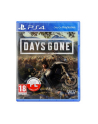 sony Gra PS4 Days Gone PL - nr 1