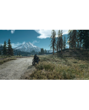 sony Gra PS4 Days Gone PL