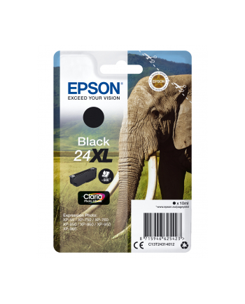 Epson ink black C13T24314012
