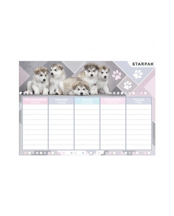 Plan lekcji Cuties/p STARPAK