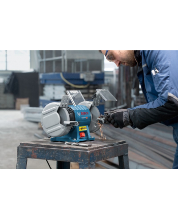 bosch powertools Bosch GBG 35-15 Professional, double grinding (blue / black, 350 watts)