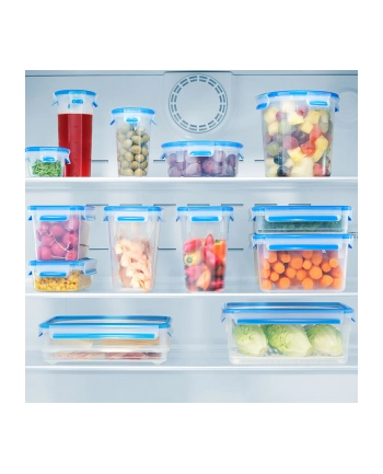Emsa Clip & Close Food Container Set- Set of 3 - 0.55 / 1.0 / 2.3 L