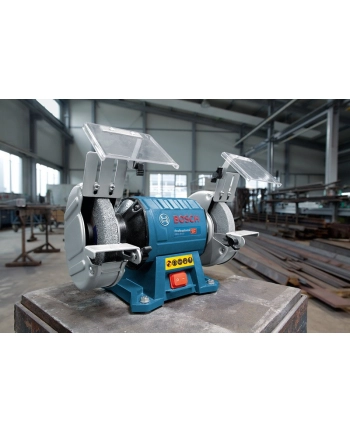 bosch powertools Bosch GBG 35-15 Professional, double grinding (blue / black, 350 watts)