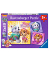 Ravensburger Puzzle PAW: Charming Dog Girl - 080083 - nr 14