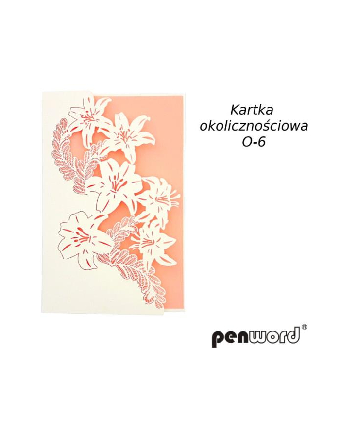 polsirhurt Kartka okolicznościowa O-6 główny