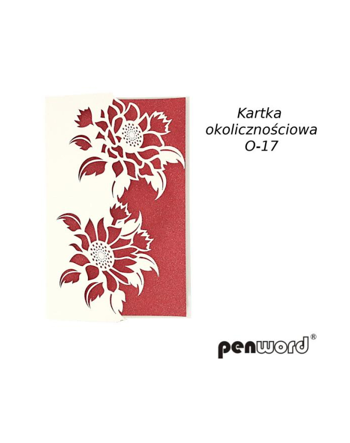 polsirhurt Kartka okolicznościowa O-17 główny