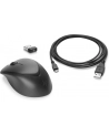 HP Wireless Premium Mouse (Black) - nr 53