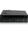 Icy Dock Tough Armor MB602SPO-B, backplane (black, backplane module for 1x 5.25 ''bay) - nr 21