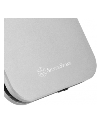 silverstone technology Silverstone SST-MMS02C, drive enclosure (gray)