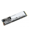 Kingston SSD 500GB KC2000 M.2 2280 NVMe, R/W 3000/2000 MB/s - nr 6