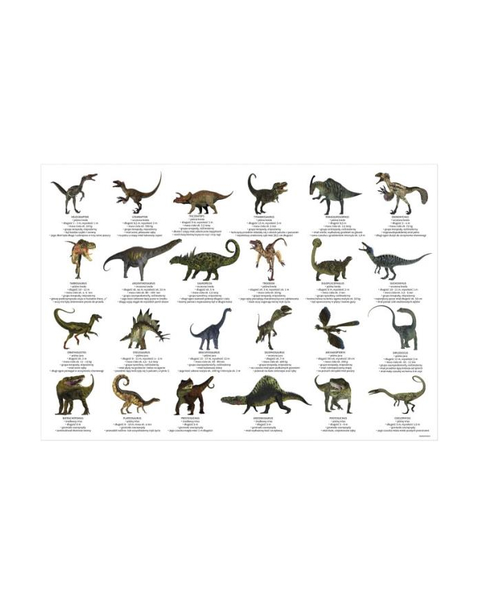 Podkład oklejany edukacyjny Dinozaury DERFORM główny