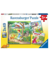 Puzzle 3x49el.  Bajki Braci Grim 080519 RAVENSBURGER - nr 1