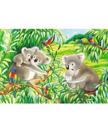 Puzzle 2x24el. Słodkie misie koala i pandy 078202 RAVENSBURGER