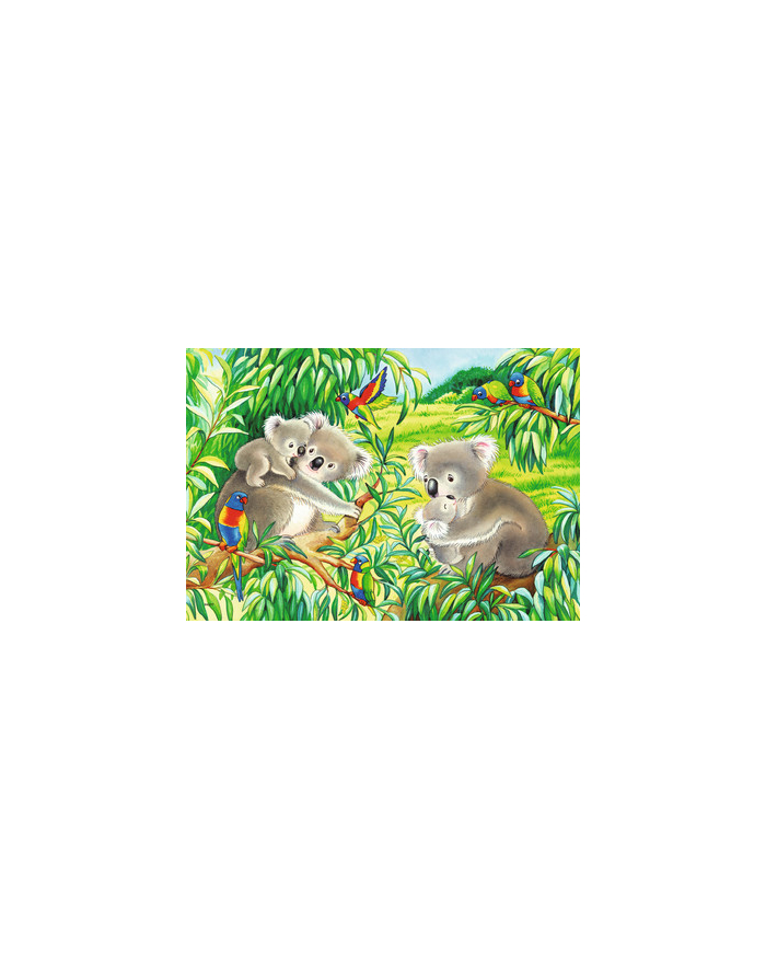 Puzzle 2x24el. Słodkie misie koala i pandy 078202 RAVENSBURGER główny