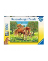 Puzzle 100el. Konie na pstwisku 105779 RAVENSBURGER - nr 5