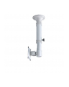 newstar FPMA-C025SILVER Uchwyt sufitowy - nr 11