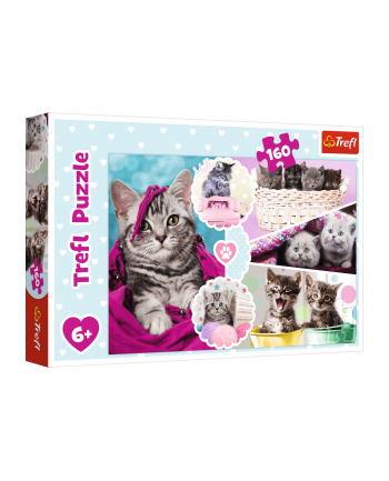 Puzzle 160el Urocze kotki 15371 TREFL