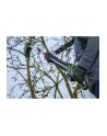 Piła łańcuchowa do cięcia gałęzi BOSCH UniversalChainPole 18 06008B3101 - nr 22