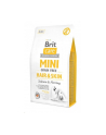 Brit Care Mini Grain-Free Hair&Skin 2kg - nr 1