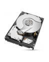 SEAGATE HDD 6TB 3.5  7.2K 4KN SATA ST6000NM021A - nr 2