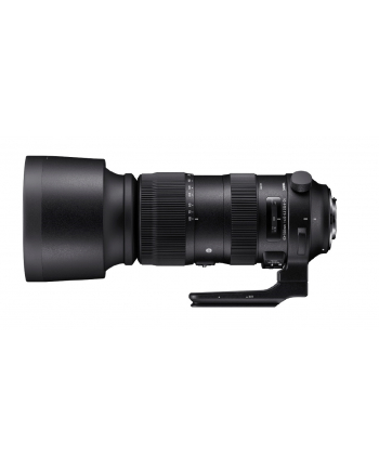Sigma 60-600/4,5-6,3 DG OS HSM for Nikon [Sport], black