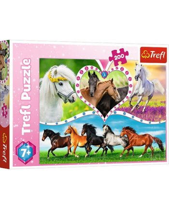 Puzzle 200el Piękne konie 13248 Trefl