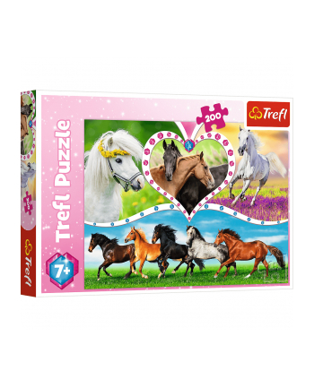 Puzzle 200el Piękne konie 13248 Trefl