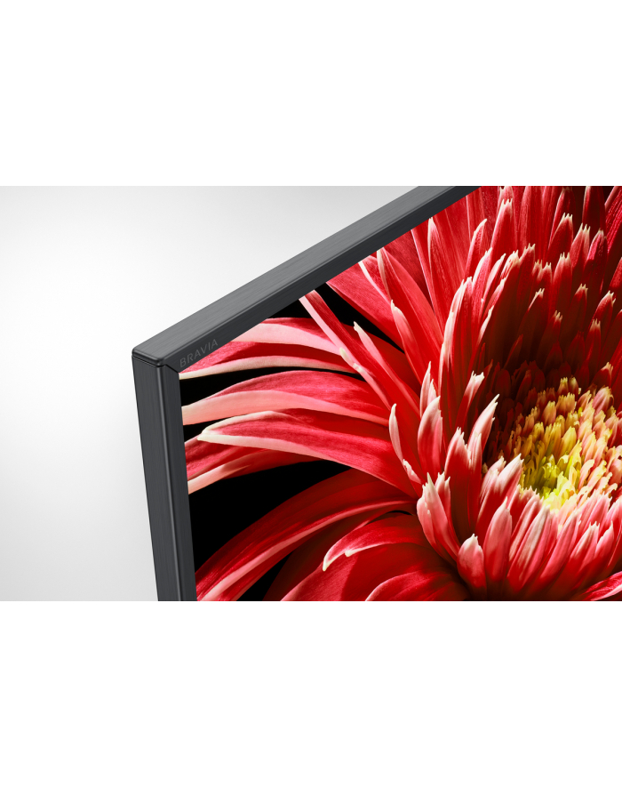 sony Telewizor 65 LED KD-65XG8596 główny