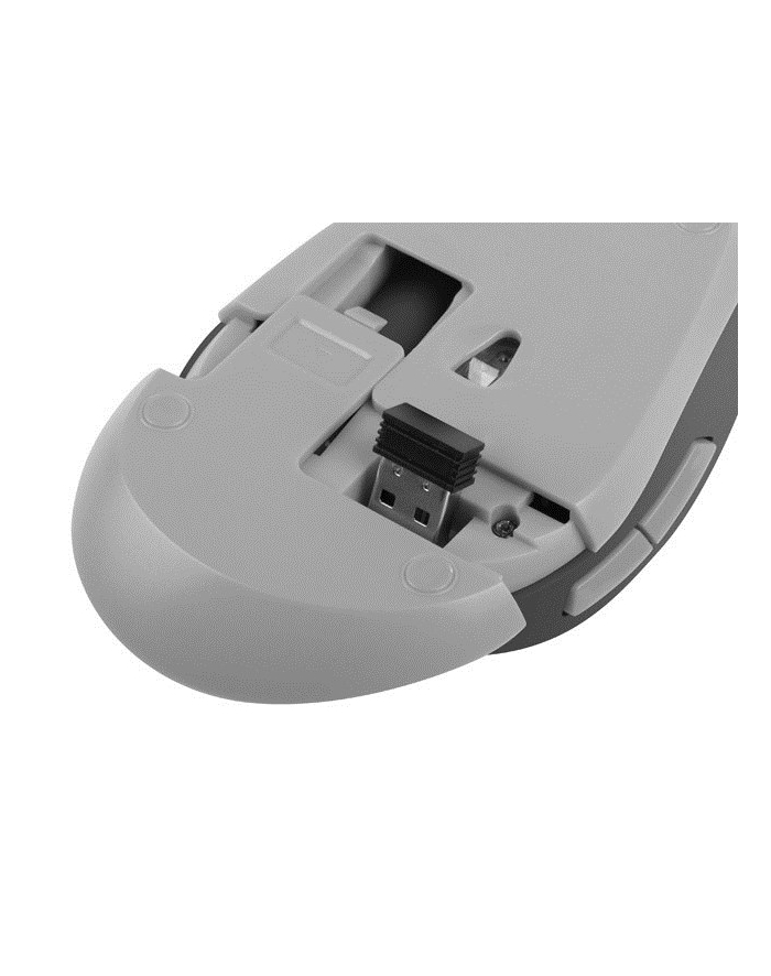natec Mysz bezprzewodowa Siskin 2400DPI czarno-szara z cichym klikiem główny