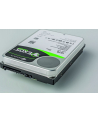 Dysk SEAGATE Exos X16 16TB 4Kn SATA 3,5'' 7200RPM, 256MB cache / T16000NM001G - nr 10