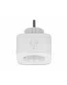 Delock Gniazdko SMART Home Plug WIFI 2,4GHz, 10A, MQTT - nr 12