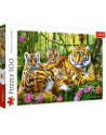 Puzzle 500el Rodzina tygrysów 37350 Trefl - nr 1