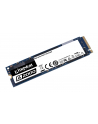 Dysk Kingston SSD A2000 250GB M.2 2280 PCI-e NVMe 2000/1100MB/s - nr 75