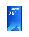 Monitor Iiyama LH7510USHB-B1 75'', IPS, 4K UHD, DVI/DP/HDMI, głośniki - nr 26