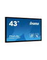 Monitor Iiyama T4361MSC-B1 43'', panel VA multitouch FullHD, DVI/HDMI/DP, spk - nr 11