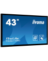 Monitor Iiyama T4361MSC-B1 43'', panel VA multitouch FullHD, DVI/HDMI/DP, spk - nr 13