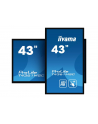 Monitor Iiyama T4361MSC-B1 43'', panel VA multitouch FullHD, DVI/HDMI/DP, spk - nr 16