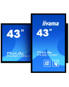 Monitor Iiyama T4361MSC-B1 43'', panel VA multitouch FullHD, DVI/HDMI/DP, spk - nr 23