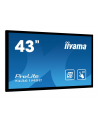 Monitor Iiyama T4361MSC-B1 43'', panel VA multitouch FullHD, DVI/HDMI/DP, spk - nr 24