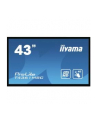Monitor Iiyama T4361MSC-B1 43'', panel VA multitouch FullHD, DVI/HDMI/DP, spk - nr 25