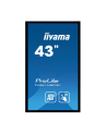 Monitor Iiyama T4361MSC-B1 43'', panel VA multitouch FullHD, DVI/HDMI/DP, spk - nr 27