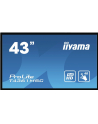 Monitor Iiyama T4361MSC-B1 43'', panel VA multitouch FullHD, DVI/HDMI/DP, spk - nr 30