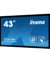 Monitor Iiyama T4361MSC-B1 43'', panel VA multitouch FullHD, DVI/HDMI/DP, spk - nr 37