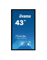 Monitor Iiyama T4361MSC-B1 43'', panel VA multitouch FullHD, DVI/HDMI/DP, spk - nr 38