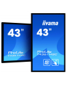 Monitor Iiyama T4361MSC-B1 43'', panel VA multitouch FullHD, DVI/HDMI/DP, spk - nr 47
