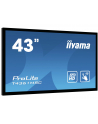 Monitor Iiyama T4361MSC-B1 43'', panel VA multitouch FullHD, DVI/HDMI/DP, spk - nr 56