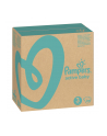 Pampers Pieluchy ABD Monthly Box 208 - nr 4