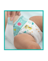 Pampers Pieluchy ABD Monthly Box 208 - nr 9